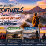Unforgettable Adventures Await: Exploring Mount Bromo’s Best Tour Packages for Every Traveler